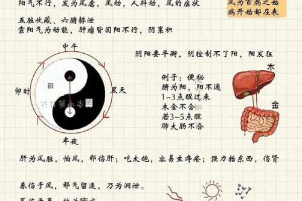 根据什么时辰生人不怕老虎命，了解你自己的命运！