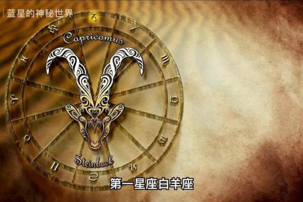揭开天生老板命的星座奥秘，谁是领导者之星？
