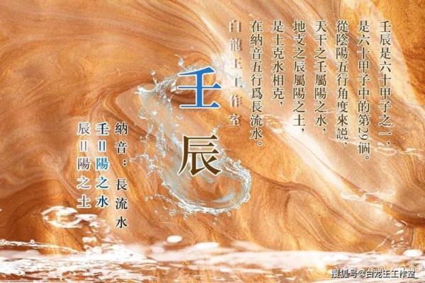 探寻姓名37画女孩的命运与人生轨迹
