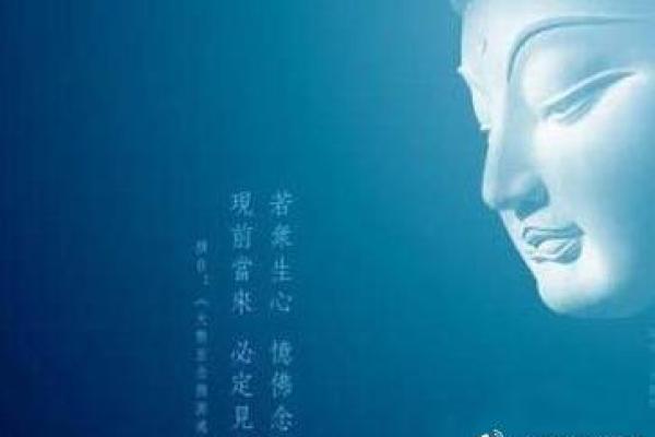 公主的华丽与丫鬟的卑微，深刻揭示了命运的无常与人生的选择