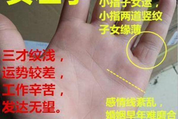 从掌纹看幸福 揭秘女孩的幸福命运与手相关系