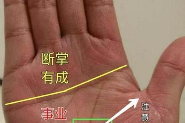 1971年出生者的命格分析与人生运势探讨