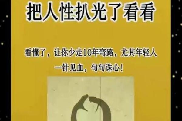 205年属鸡命理解析：揭示命运背后的秘密与启示