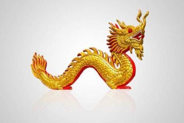 1988辰龙的命运与人生：探索其特质与发展道路