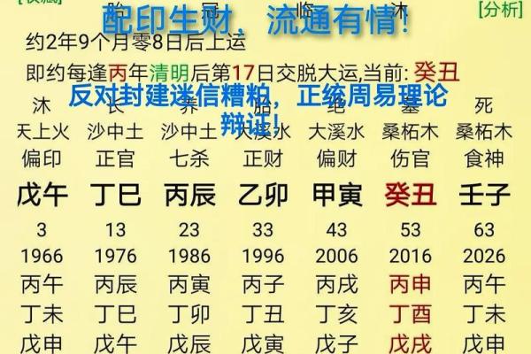 解析乙酉丁亥甲辰戊辰命格，探寻命理背后的深意与运势