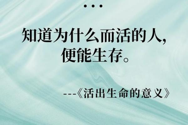 12星座的命运解析：揭示你的生命密码与个性特征