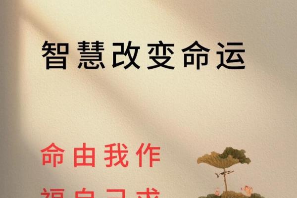 紫薇命理：揭示你的命运与人生智慧之钥匙