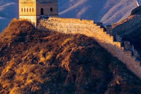 2022虎宝宝水命解析：赋予生命与运势的奇妙之旅