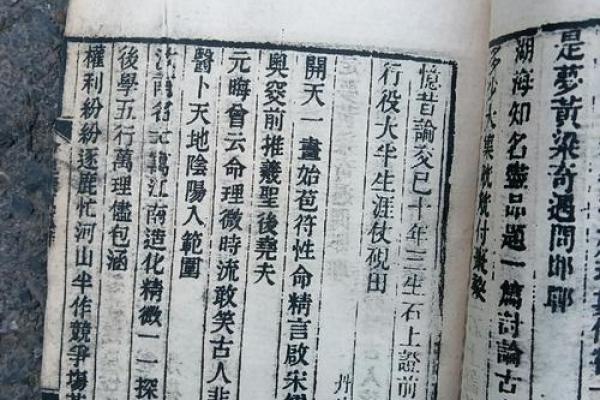 命理学中的“菲”字解析：深探其背后的文化与寓意