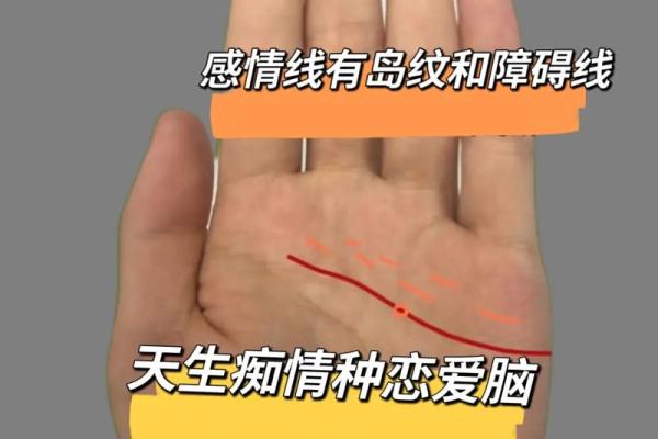 从手掌看你是什么命，揭示生命中的秘密与未来的方向
