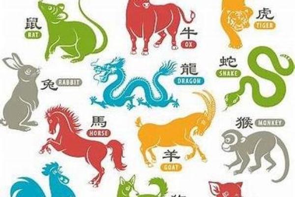1984年属鼠人的命运解析与发展建议