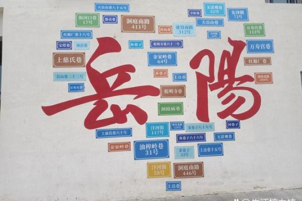 揭秘罗马脚男人的命运与性格特点：他们的魅力与挑战