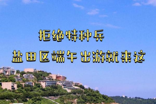 探索除杨柳木命的多重用途与价值，开启自然的智慧之门！
