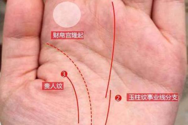 2017年69岁命运解析：生辰八字与人生转折的深刻关联
