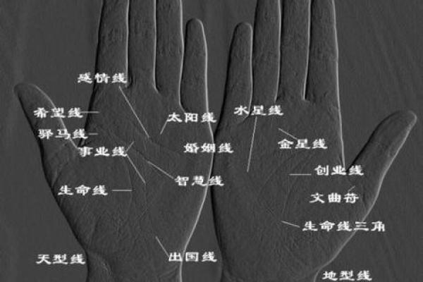 解析和尚命手相特征：揭秘手中命运的奥秘