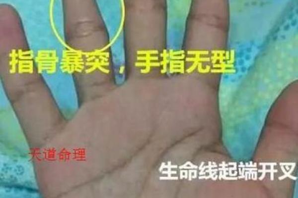 解析和尚命手相特征：揭秘手中命运的奥秘
