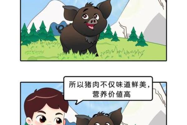 辰时出生的猪女孩：命运与性格的奇妙交织