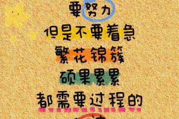 11月24日的命运启示：如何把握生活中的每一个机会