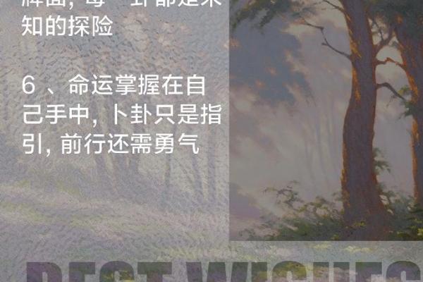 1981年命卦揭秘：命运中的智慧与启示