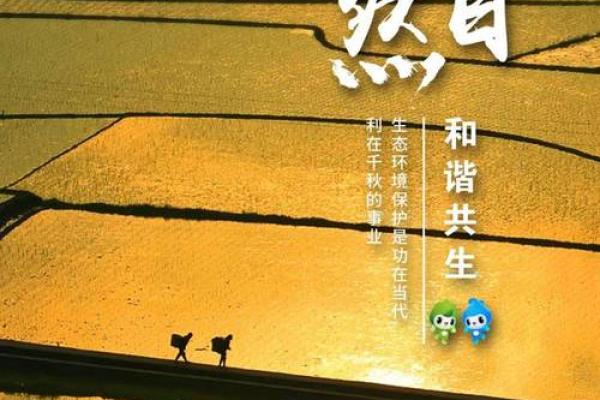 探索金命的环境属性：与自然的和谐共生