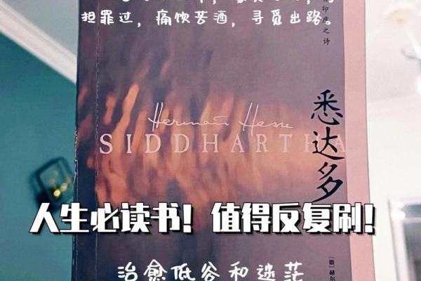 命理与大运：探索人生的轮回与变化