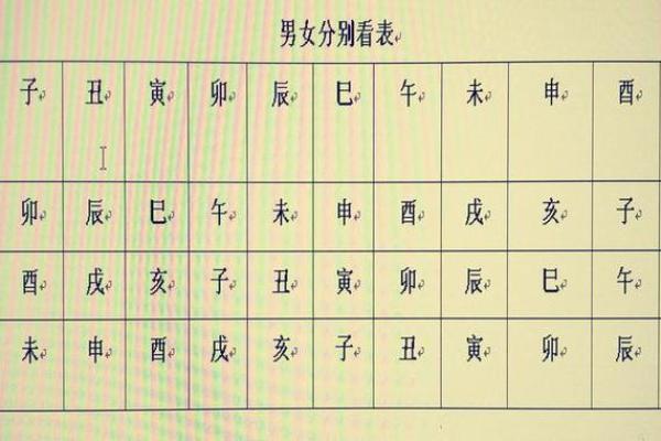 戊戌乙丑命运探秘：命理与人生的奇妙交织
