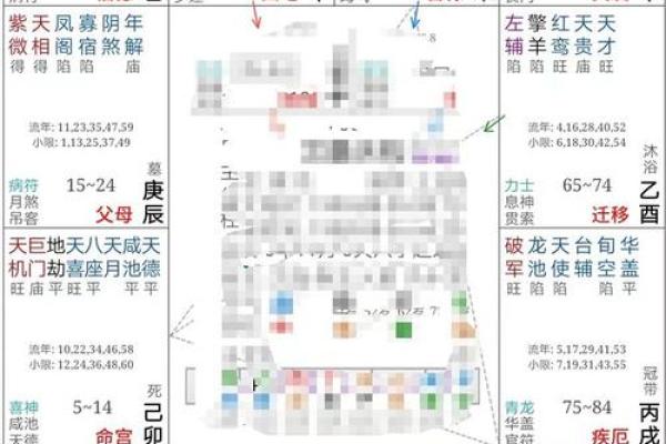 紫薇命盘：揭示适合经商的命格与人生选择的秘诀