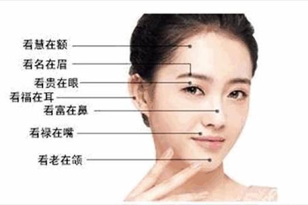 女人扁鼻子与命运的奥秘：面相解析与人生智慧