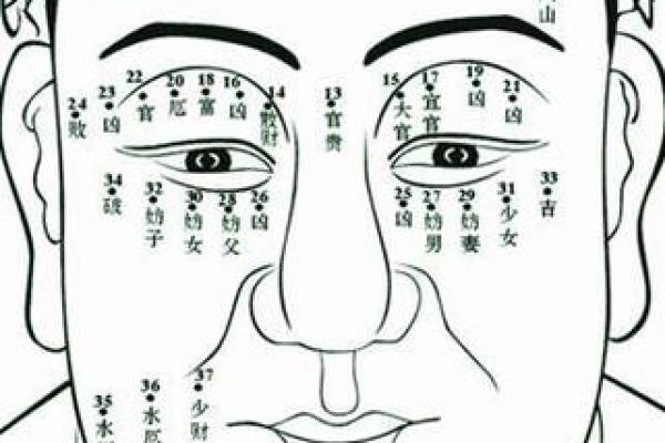 女人扁鼻子与命运的奥秘：面相解析与人生智慧