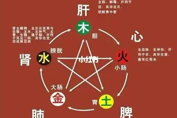 2018年是什么土命？深入探讨五行土的魅力与智慧