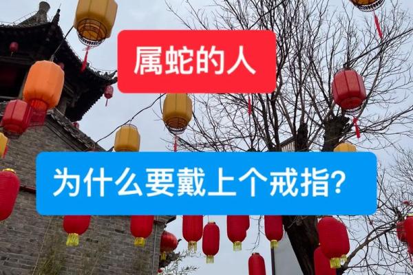 2025年蛇年属什么命？探索蛇年的运势与未来发展