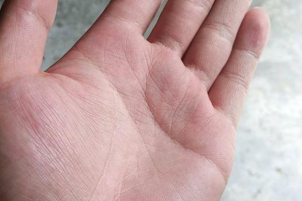 揭秘手相学：夫子眼命的奥秘与人生轨迹