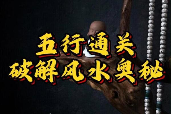 1992年金命与五行相克的奥秘探讨