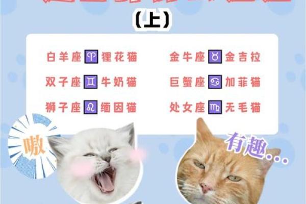 星座与命运：从十二星座看你的人生馈赠与挑战