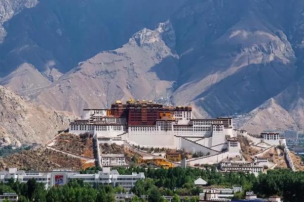 命里华盖：适合你的职业选择与发展之路