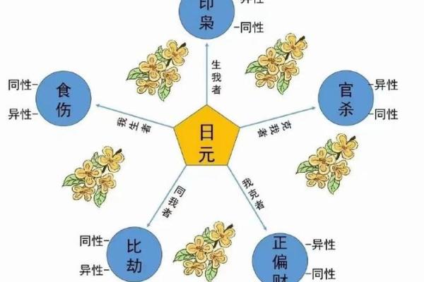 姓名与命格：17画的神秘解读与人生启示