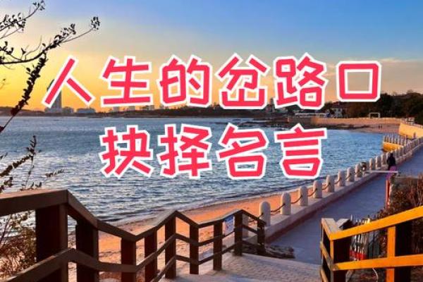 为何人生总是倒霉？探寻命运背后的真相与智慧