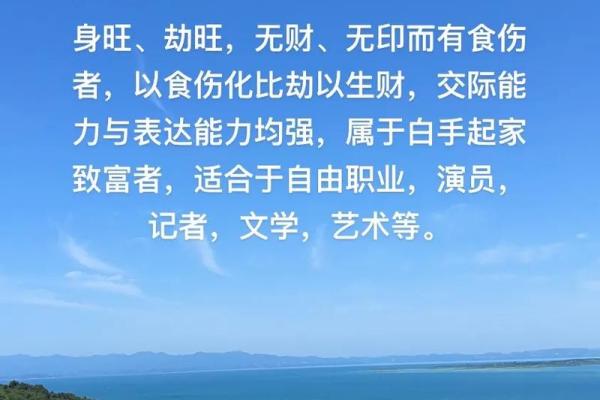 命理学爱好者必备软件，助你解析人生之道！