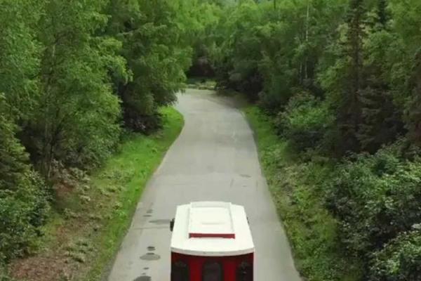 2020年属鼠：机智灵活，开创精彩人生的精彩旅程