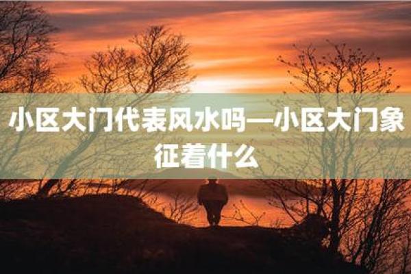 探究男人水命缺木的象征与风水影响