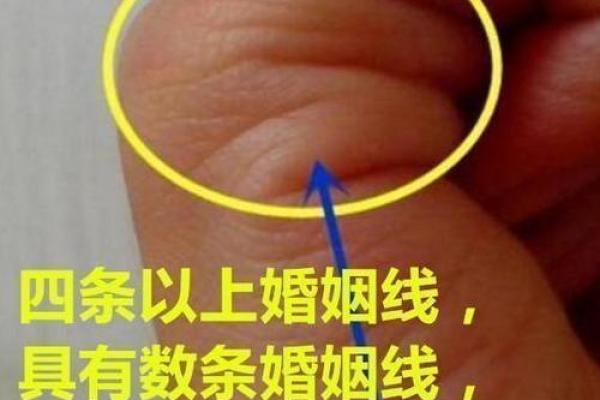 探索命理缘分的奥秘：命运与缘分的交织之旅