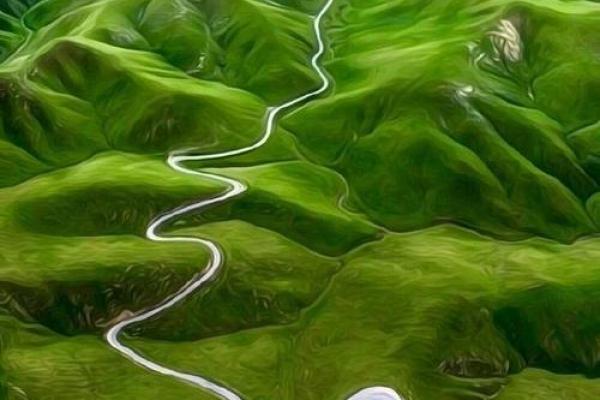 童子命：从命运的桎梏到璀璨人生的蜕变