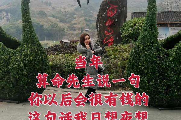 六五年初生：深入探索命理与人生的精彩之旅