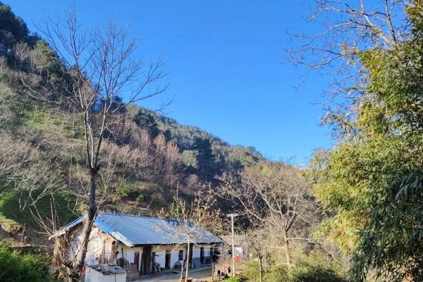 1988年的记忆：那个时代的风景与情感