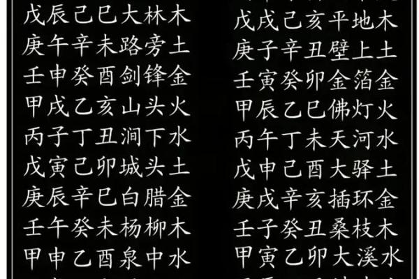 六五年初生：深入探索命理与人生的精彩之旅