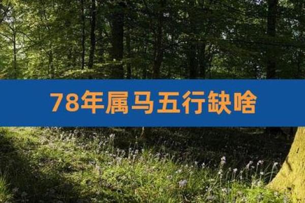 1997年木命之人缺什么？揭开命运的秘密！