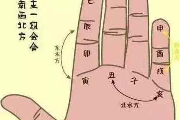 看手相揭示你命运的奥秘，掌握人生方向！