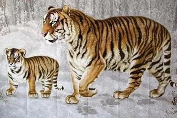 1962年属虎，勇敢与智慧的象征，探秘虎年命的传奇人生