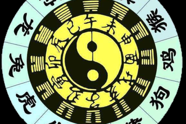 属猪人命里缺什么？探寻提升运势的秘密！