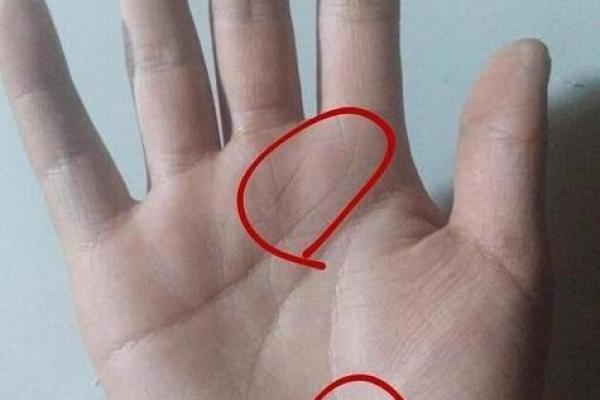 手相解析：揭示长寿的秘密与命运之路